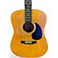 Used Antares DX26 Natural Acoustic Guitar