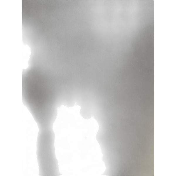 Used Peavey 115TXR Bass Cabinet