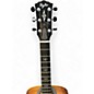 Used Taylor GOLD LABEL 810E Natural Acoustic Electric Guitar