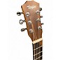 Used Taylor Baby Taylor Mahogany Mahogany Acoustic Guitar