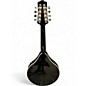 Used Rogue RM-100A Black Mandolin