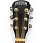 Used Great Divide SSM-BK BLACK SPARKLE Acoustic Guitar