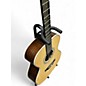Used Bentivoglio Genuine 1503c Spruce Acoustic Guitar