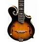 Used Gold Tone GM-35 Brown Sunburst Mandolin