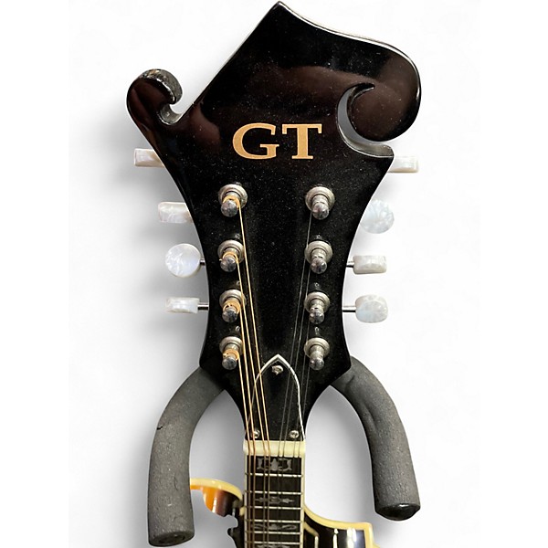 Used Gold Tone GM-35 Brown Sunburst Mandolin