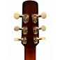 Used Seagull PERFORMER CW CH PRESYS II  BURNT UMBER Acoustic Electric Guitar