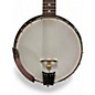 Used Gold Tone GT500 Banjitar 6 String Trans Black Banjo