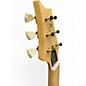 Used PRS SE NF53 DOGHAIR Solid Body Electric Guitar