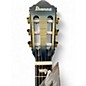 Used Ibanez FRH20FMN COSMIC BLUE SUNBURST Classical Acoustic Electric Guitar