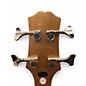 Used Epiphone EMBASSY Smoked Almond Metallic Electric Bass Guitar