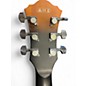 Used Ibanez as53-tf Walnut Hollow Body Electric Guitar