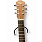 Used Taylor Baby Taylor Mahogany Mahogany Acoustic Guitar