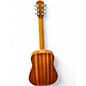 Used Taylor Baby Taylor Mahogany Mahogany Acoustic Guitar