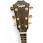 Used Taylor 224CEKDLX 2 Color Sunburst Acoustic Electric Guitar