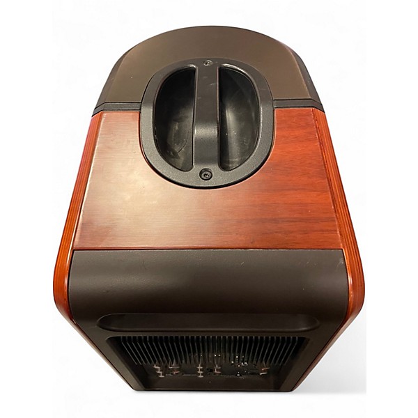 Used LR Baggs Synapse Powered Speaker