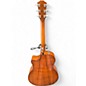 Used Taylor 514CE Amber Acoustic Electric Guitar