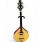 Used 2022 Goldtone om800plus Natural Mandolin thumbnail