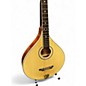 Used 2022 Goldtone om800plus Natural Mandolin