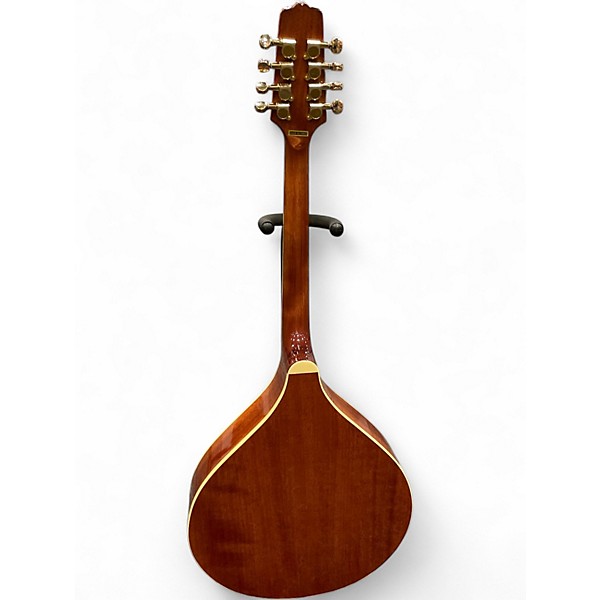 Used 2022 Goldtone om800plus Natural Mandolin