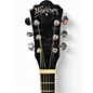 Used Washburn DFBACEB-U Deep Forest Burl Acoustic Electric Guitar