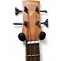 Used Ibanez PNB14E-OPN Mahogany Acoustic Bass Guitar