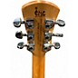 Used 2024 CMG Guitars ASHLEE 2 Color Sunburst Solid Body Electric Guitar