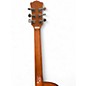 Used Luna Gypsy Spalt Acoustic Spalted Maple Acoustic Guitar
