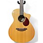 Used Breedlove Passport Plus C250/SRE Natural Acoustic Electric Guitar