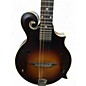 Used The Loar lm310f sunburst Mandolin