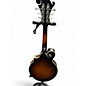 Used The Loar lm310f sunburst Mandolin