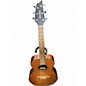 Used Breedlove discovery s companion natural Acoustic Guitar thumbnail