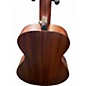 Used Breedlove discovery s companion natural Acoustic Guitar
