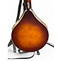 Used The Loar LM110 2 Color Sunburst Mandolin