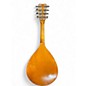 Vintage 1920s Martin A Style Natural Mandolin