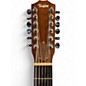 Used Taylor 254ce DLX Natural 12 String Acoustic Electric Guitar