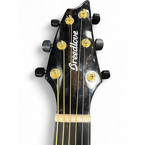 Used Breedlove ARTISTA CONCERT Natural Solid Body Electric Guitar