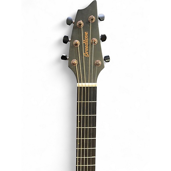 Used Breedlove Rainforest s Concert PA CE Fern Acoustic Electric Guitar