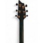 Used Breedlove Rainforest s Concert PA CE Fern Acoustic Electric Guitar