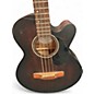 Used Mitchell T239BCE Walnut Acoustic Bass Guitar