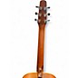 Used Seagull Entourage Rustic Tobacco Burst Acoustic Guitar