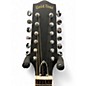 Used Gold Tone F12 2 Color Sunburst Mandolin