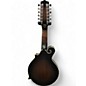 Used Gold Tone F12 2 Color Sunburst Mandolin