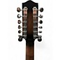 Used Gold Tone F12 2 Color Sunburst Mandolin