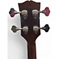 Used Gibson Les Paul Junior Tribute DC Bass Worn Brown Electric Bass Guitar