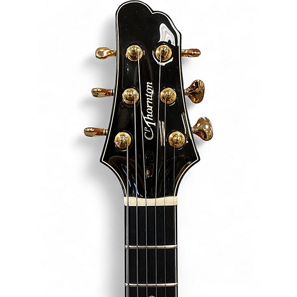 Used Cp Thornton PROFESSIONAL ACOUSTIC Natural Hollow Body Electric Guitar