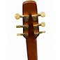 Used Seagull Artist Mosaic CW Folk Deluxe QII Natural Acoustic Electric Guitar