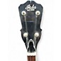 Vintage 1978 Iida closed back banjo Trans Brown Banjo