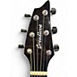 Used Breedlove WILDWOOD CONCERT BLACKBIRD AFRICAN MAHOGANY Acoustic Electric Guitar
