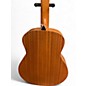 Used Taylor GS Mini Mahogany Mahogany Acoustic Guitar