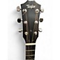 Used Taylor 214CE Plus Special Zircote Edge Burst Acoustic Electric Guitar